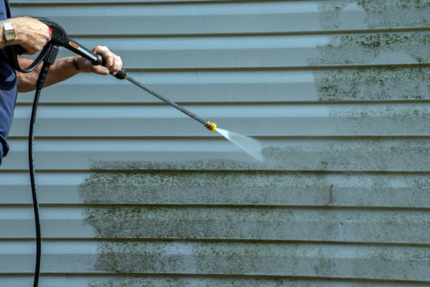 Best Gutter Cleaning and Brightening in Albany, WI