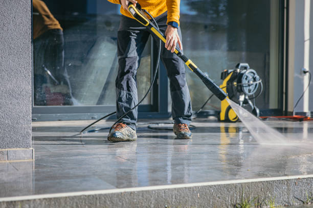 Best Driveway Cleaning and Restoration in Albany, WI
